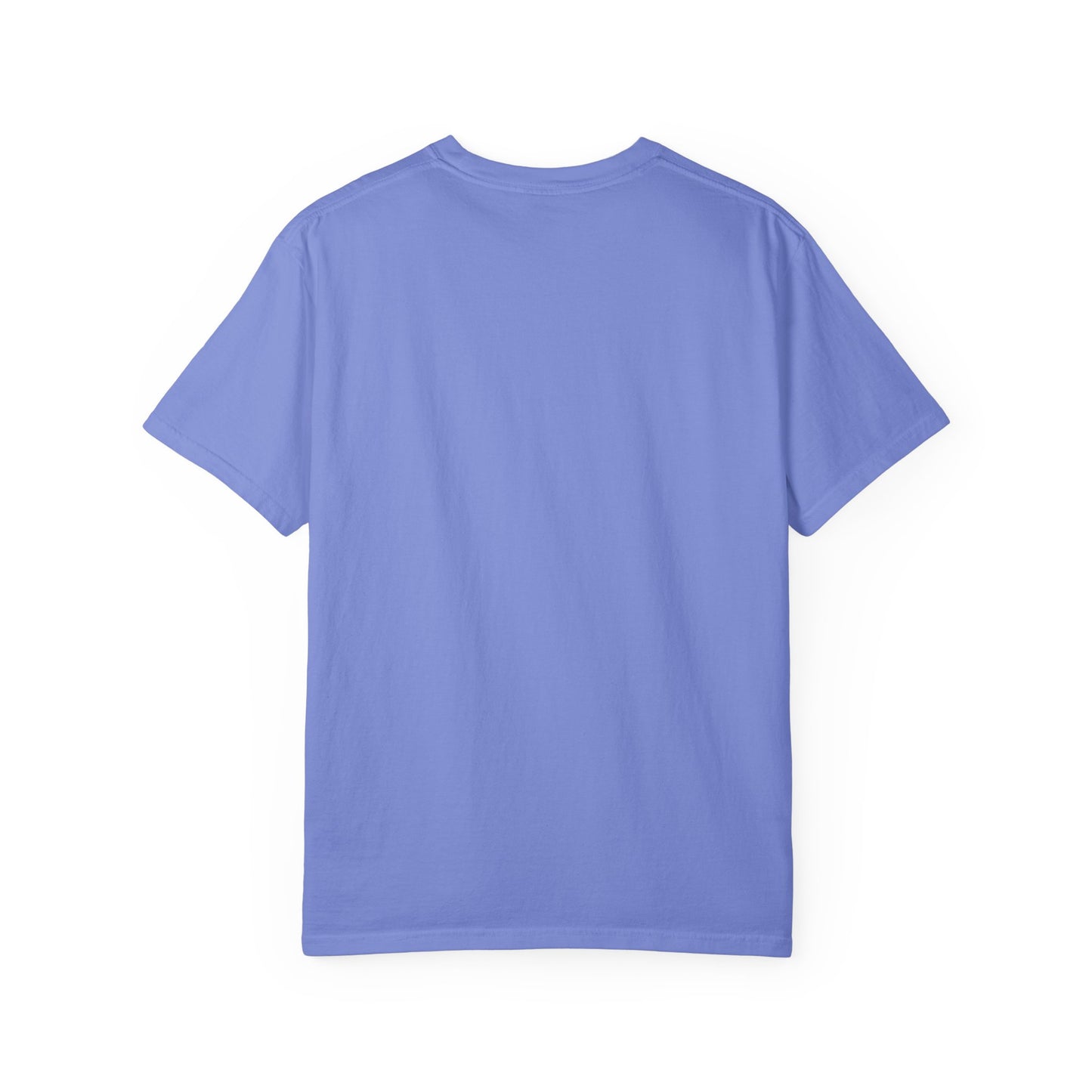 Cool Aunt Comfort Colors Shirt, Aunt Always the Cool One Tee, Retro Auntie Graphic Tee, Cute Aunt Gift Shirt